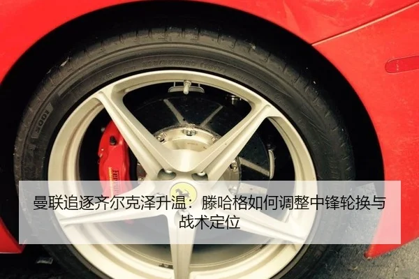 man-lian-zhui-zhu-qi-er-ke-ze-sheng-wen-teng-ha-ge-ru-he-tiao-zheng-zhong-feng-lun-huan-yu-zhan-shu-ding-wei-2-390.jpg