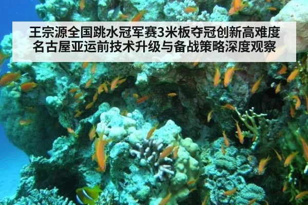 王宗源全国跳水冠军赛3米板夺冠创新高难度 名古屋亚运前技术升级与备战策略深度观察