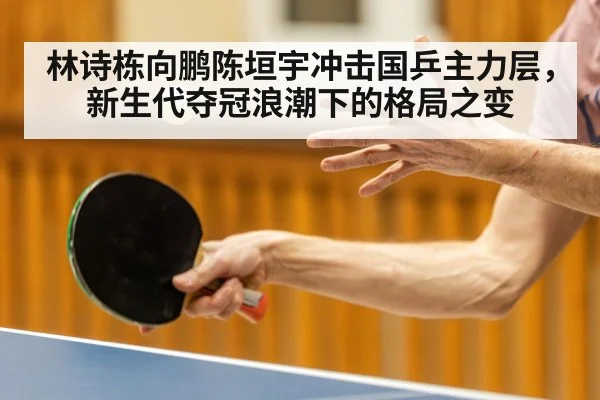 林诗栋向鹏陈垣宇冲击国乒主力层,新生代夺冠浪潮下的格局之变
